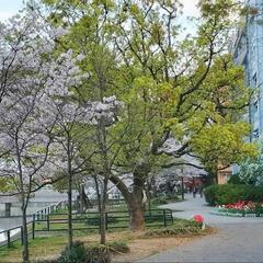 一緒にバイブル勉強友達
