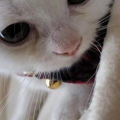 大事にしてくださる方