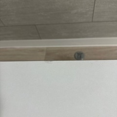 【決まりました！】の画像