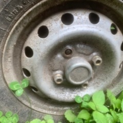 スバルTT2冷蔵庫の画像