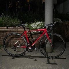 SPECIALIZED ALLEZ CAMPAGNOLO ZON...