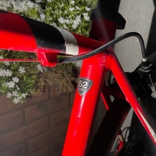 SPECIALIZED ALLEZ CAMPAGNOLO ZONDA C17 スペシャライズド アレー カンパニョーロ ゾンダ C17