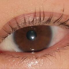 ラッシュリフト　まつ毛パーマ　¥3000 − 宮城県