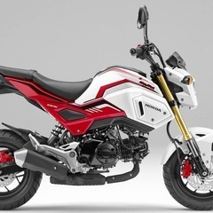グロム　JC75　ロスホワイト　カウル一式