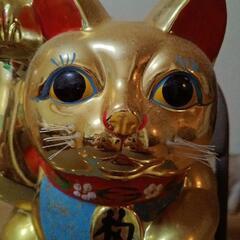これ以上値下げしません　ゴールドな招きネコの画像