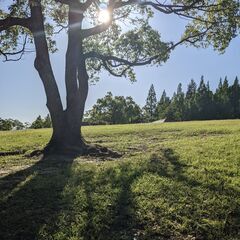 平日の日中、広い公園で散歩や読書などのメンバーを募集🌳