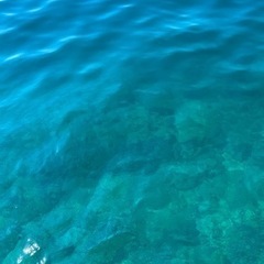 釣り友達募集🪣🎣
