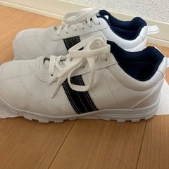靴、
スニーカーの画像
