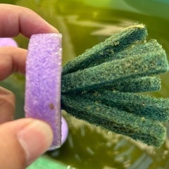 メダカ　ミックス　卵無料の画像