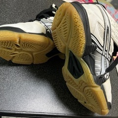 バレーボールシューズ２４㎝の画像