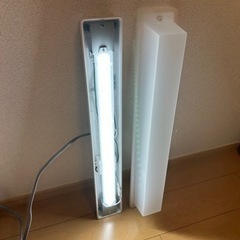激安‼️照明！の画像