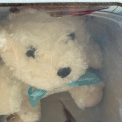 フォルクスワーゲン　くまのぬいぐるみの画像