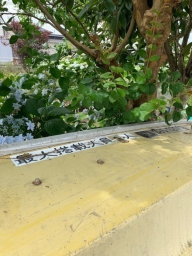 売り手が入院しまして、入院あけの対応だと思います。申し訳ありません。ボート　エンジンなし