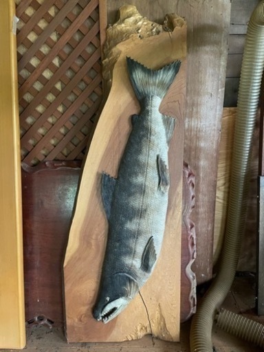 アイヌ　鮭の彫物　一枚板③ 台座　壁掛け　伝統　工芸品