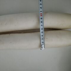 大根２本で108円です。の画像