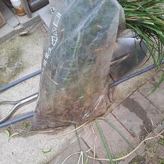 植木の画像