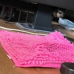 飼い主とペットに安心を！