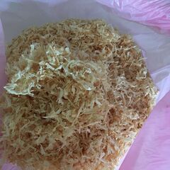 木のクズ　檜　ヒノキ　桧