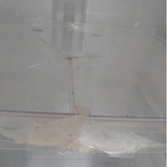 MITSUBISHI  ノンフロン冷凍冷蔵庫  2014年製の画像