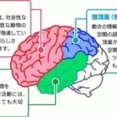 勉強しない塾