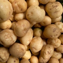 掘り立て新じゃが小粒30個