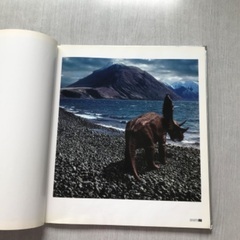 DINOPIX（恐竜デジタルPhoto写真集）