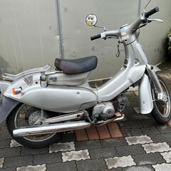エンジン好調　リトルカブラ　c50　現車確認の画像
