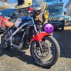 急募！VTZ250！