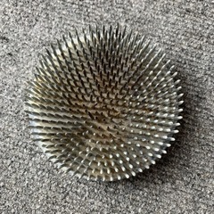 剣山   生け花(趣味)の画像