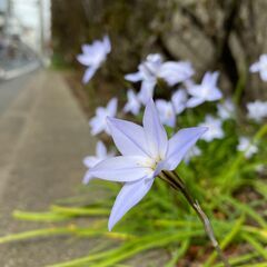 🛎️🛎️履歴書・写真不要で即決！翌日から勤務OK！【大山・新宿・...