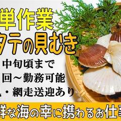 【期間限定☆１１月中旬頃まで】ホタテの貝むき作業〈網走〉