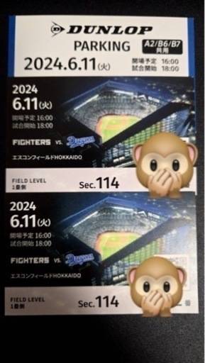 6/11日本ハムファイターズ（P有り）