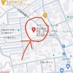 緑のお財布の画像