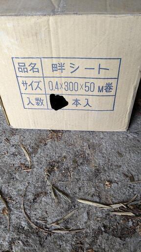畔シート