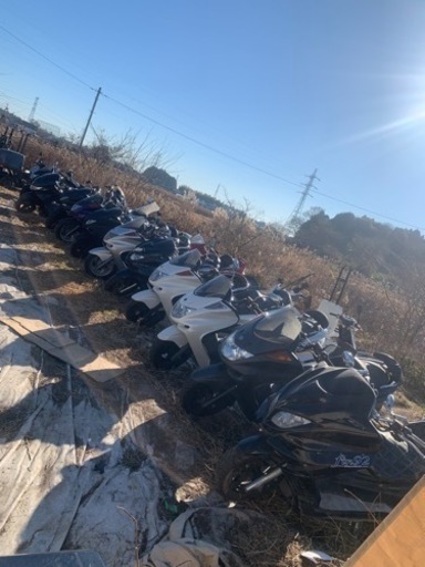 ヤマハマジェスティC250ビックスクーター在庫多数ございます。