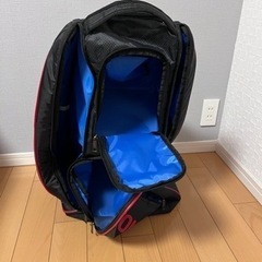 【取引先決定】ヨネックス　バドミントンバッグの画像