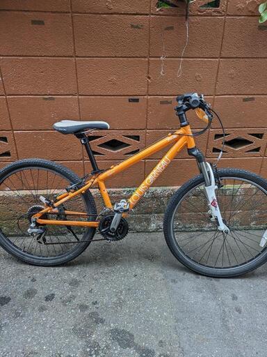 ルイガノマウンテンバイク自転車 (たな) 国立の自転車の中古