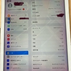 iPadpro 256GBの画像