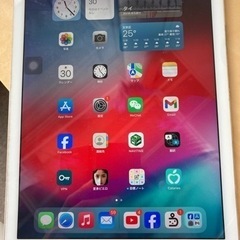 iPadpro 256GB