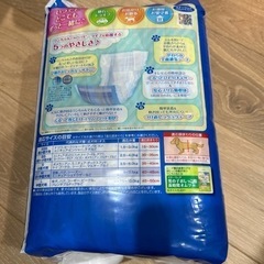 新品ワンちゃんのマナーウェアー
の画像