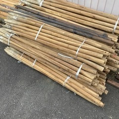 予定者あり