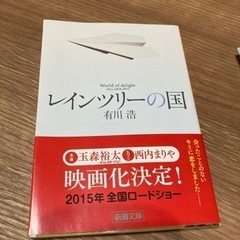 レインツリーの国　本　