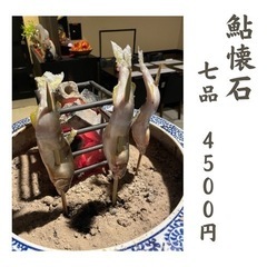6月1日から…スタート！