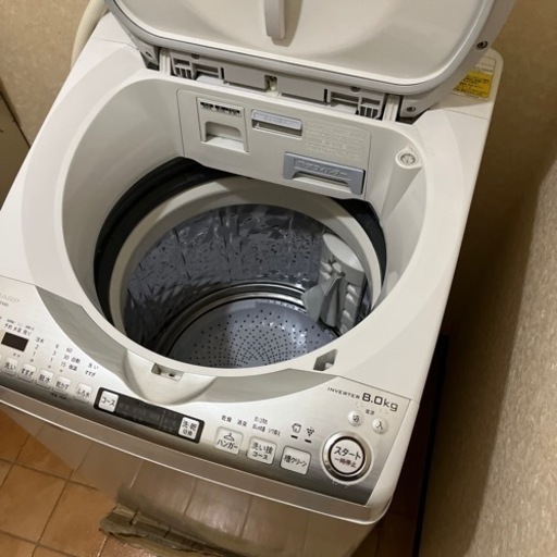 家電 生活家電 洗濯機