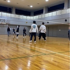 社会人バレーボール