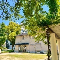 都度払い1500円⭐️少人数・初心者向け🔰フローヨガの画像
