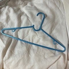 生活雑貨 洗濯用品 ハンガー
