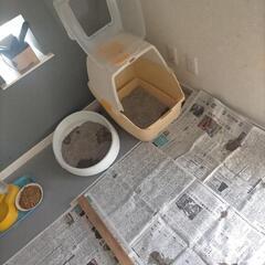 『古新聞紙』無料で、譲って頂けませんか！