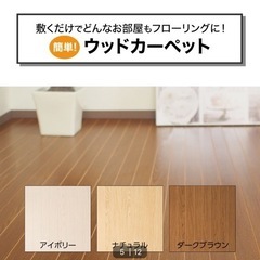 【ニトリ製】マット/ラグの画像