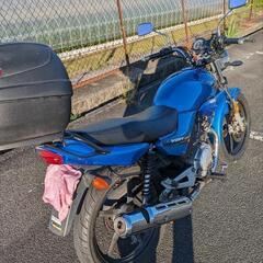 人気の原付二種YAMAHA　YBR125最終値下げです!!の画像
